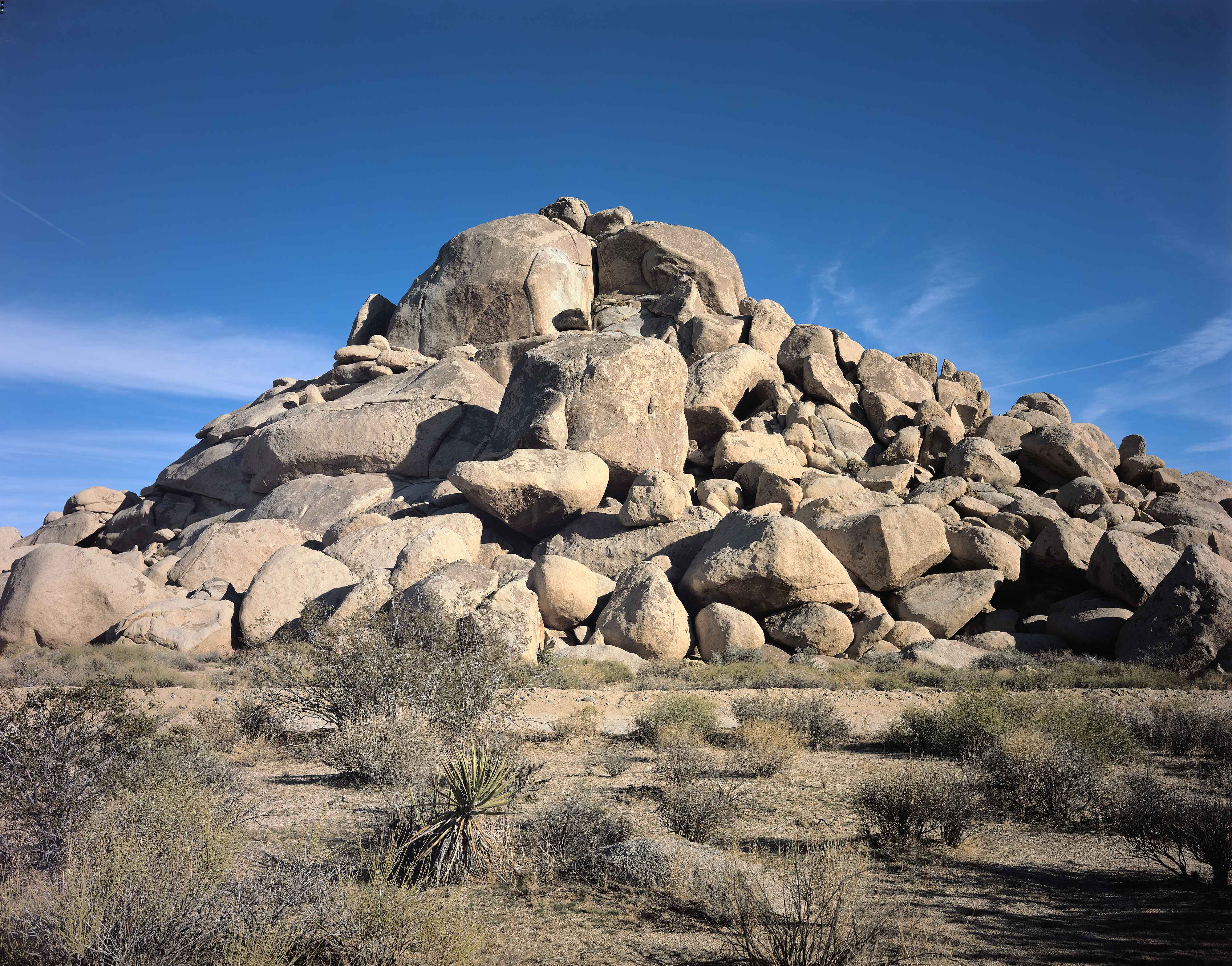 Joshua Tree 11