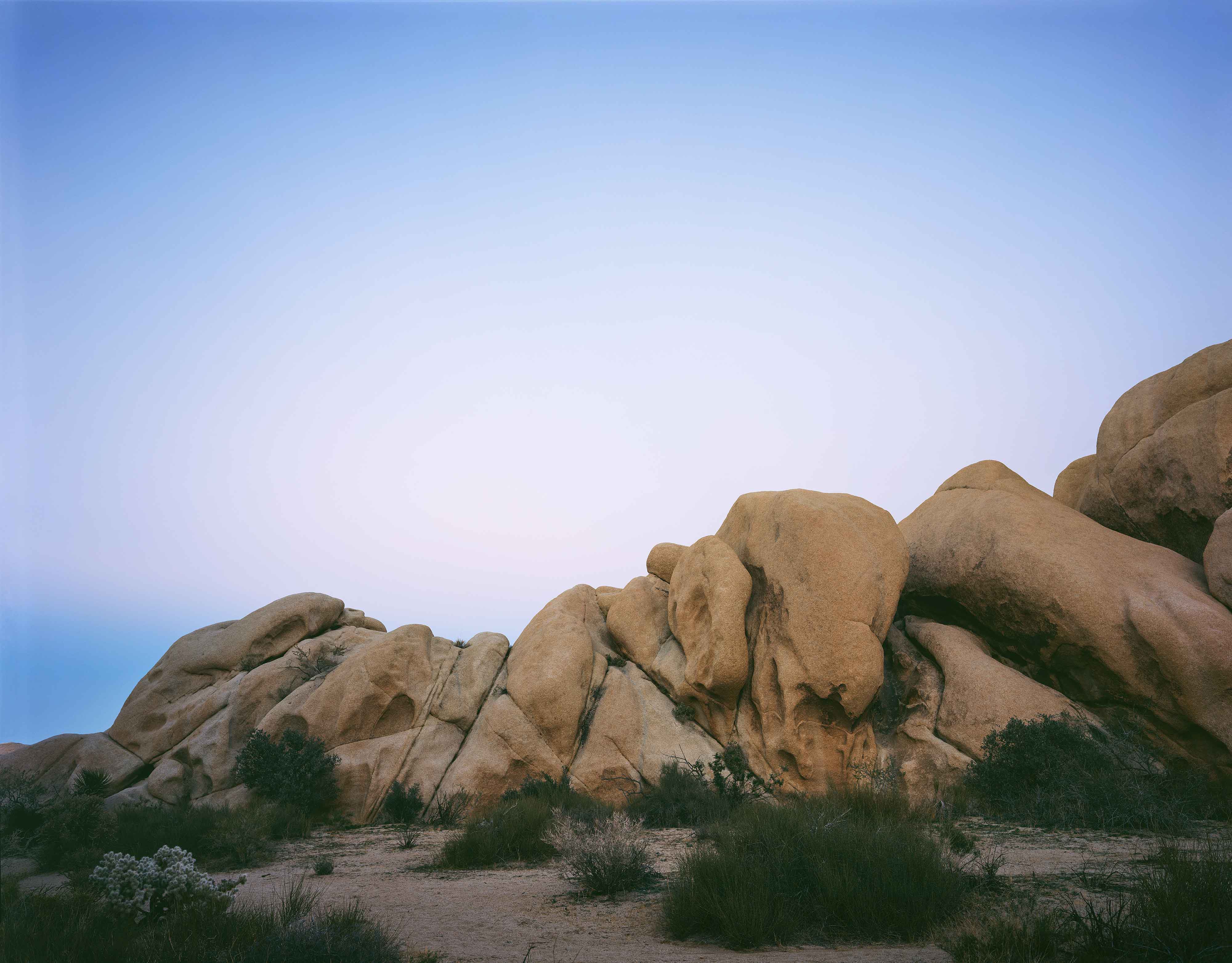 Joshua Tree 8