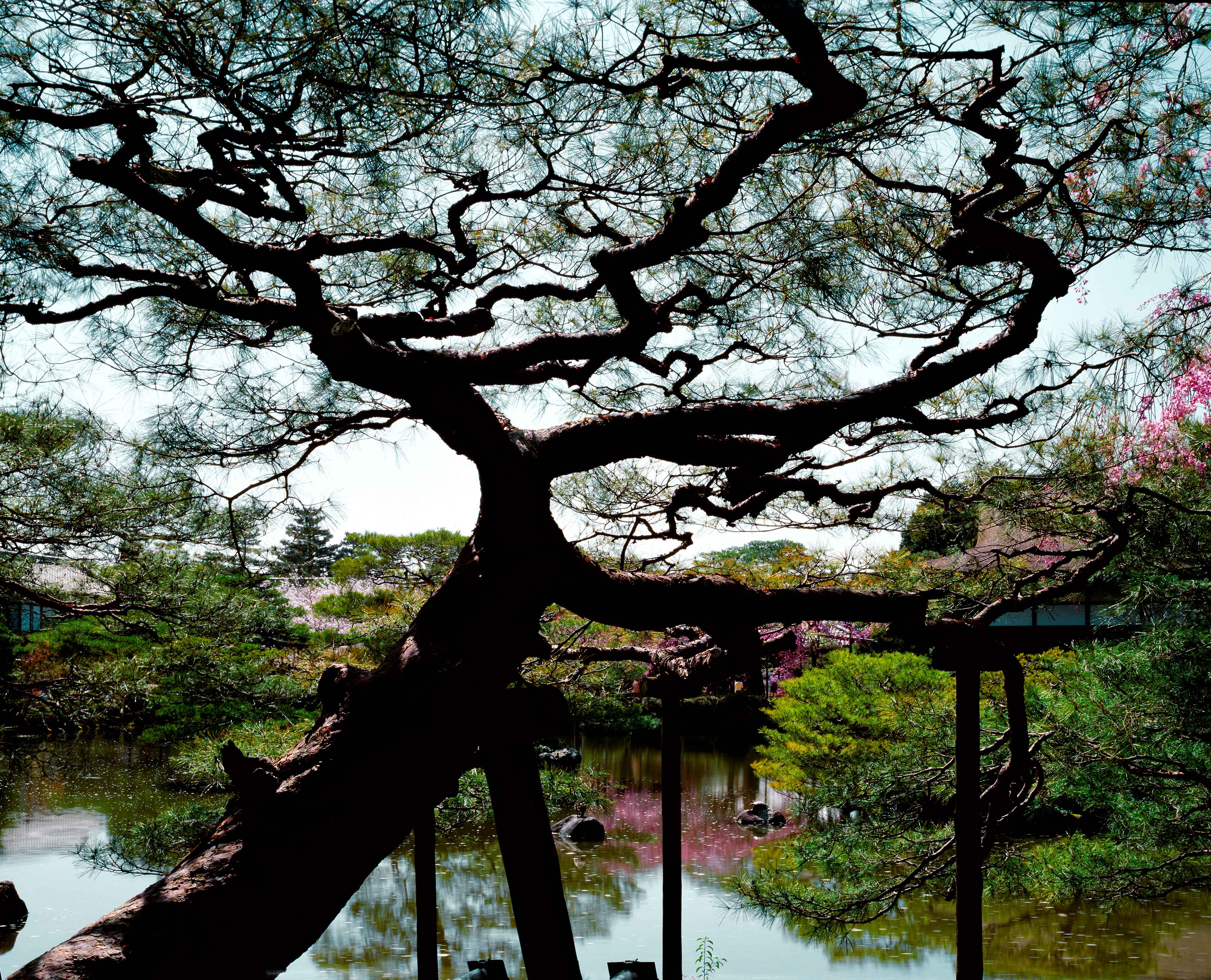 Heian Wood Block